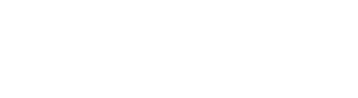 logo for steadfast wealth guidance